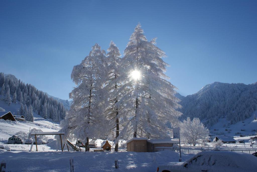 Ferien- Und Familienhotel Alpina Adelboden Exterior photo